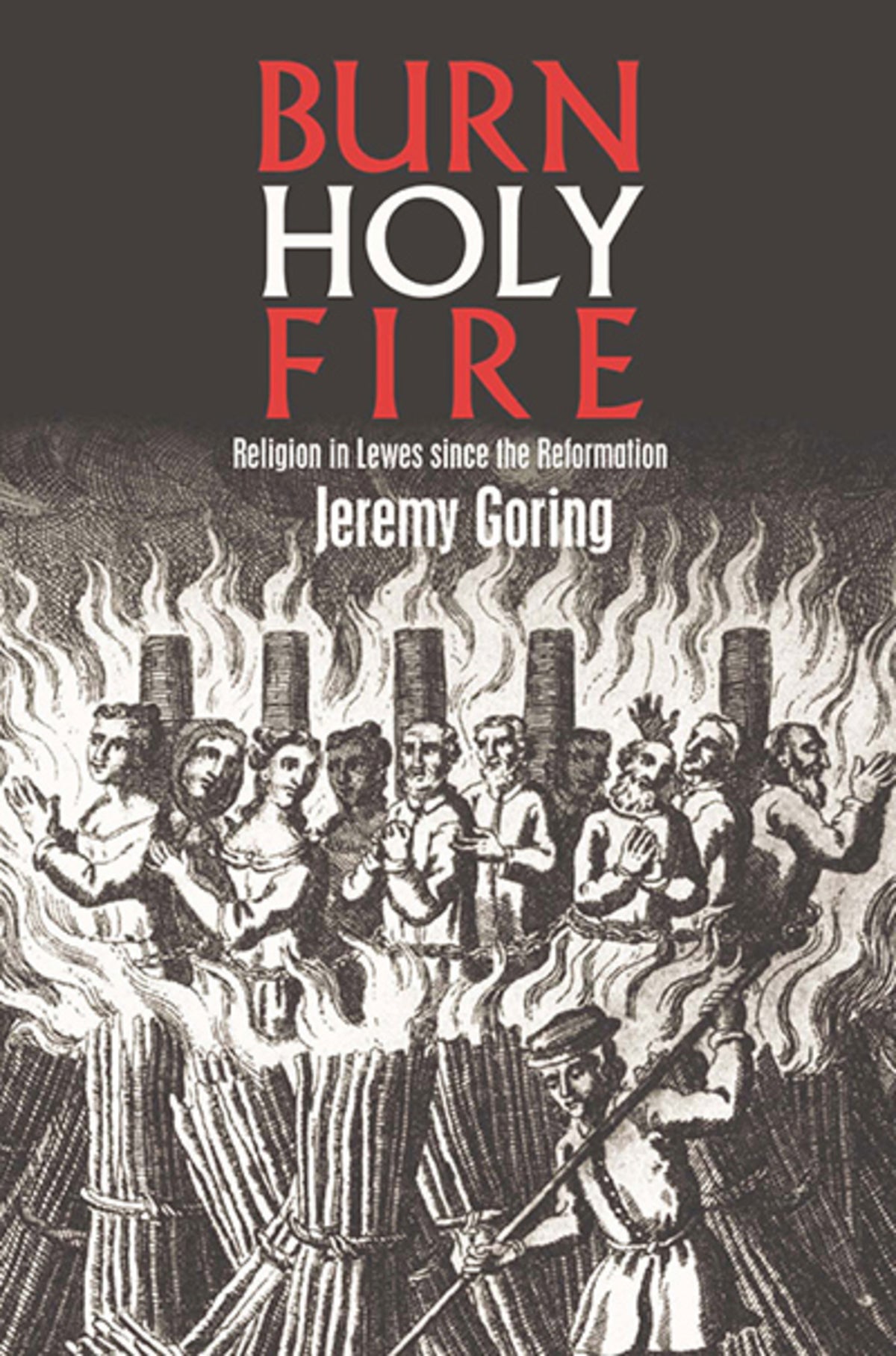 Cover image for Burn, Holy Fire! ISBN 9780718830403