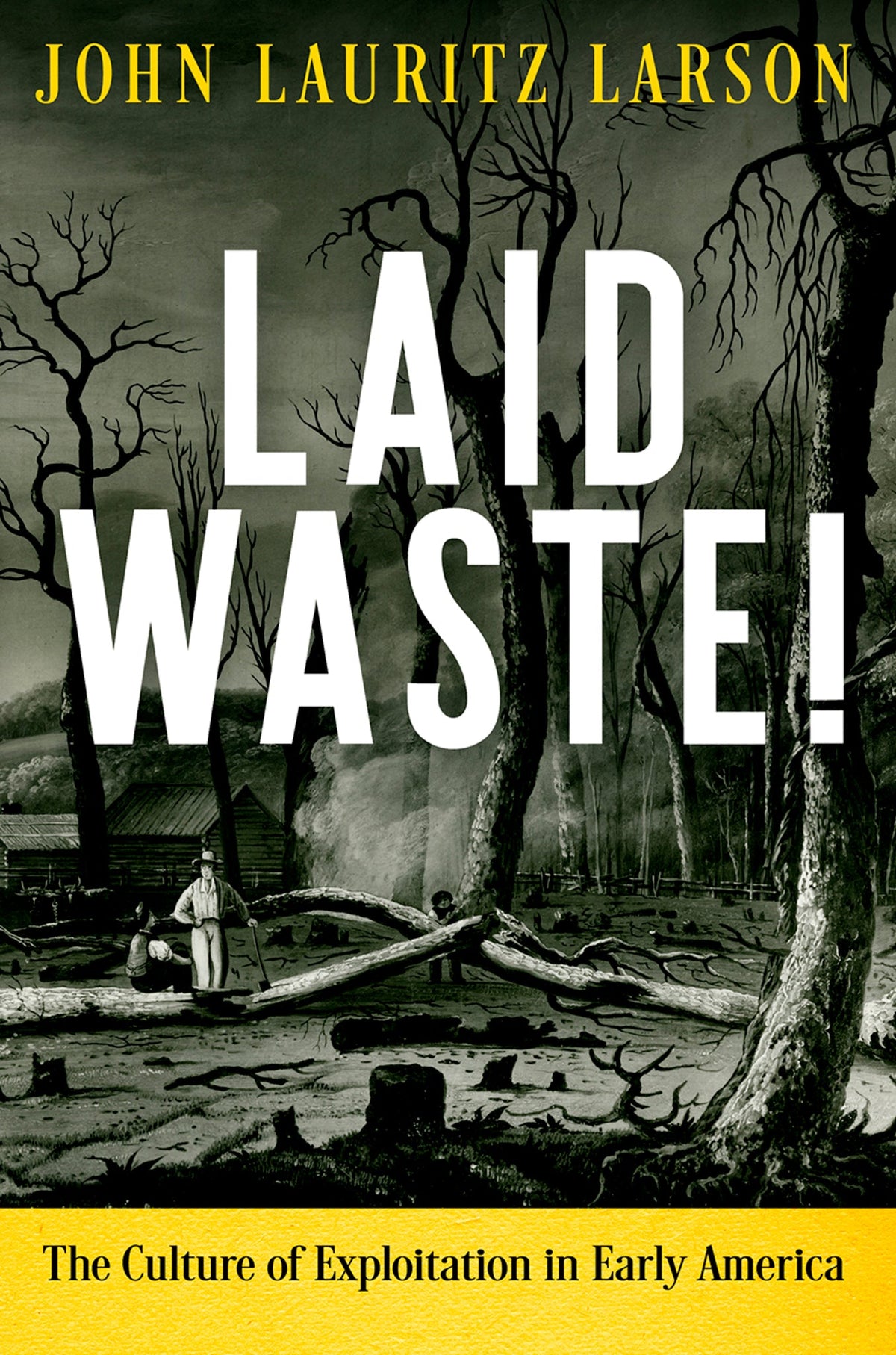 Cover image for Laid Waste! ISBN 9780812296679