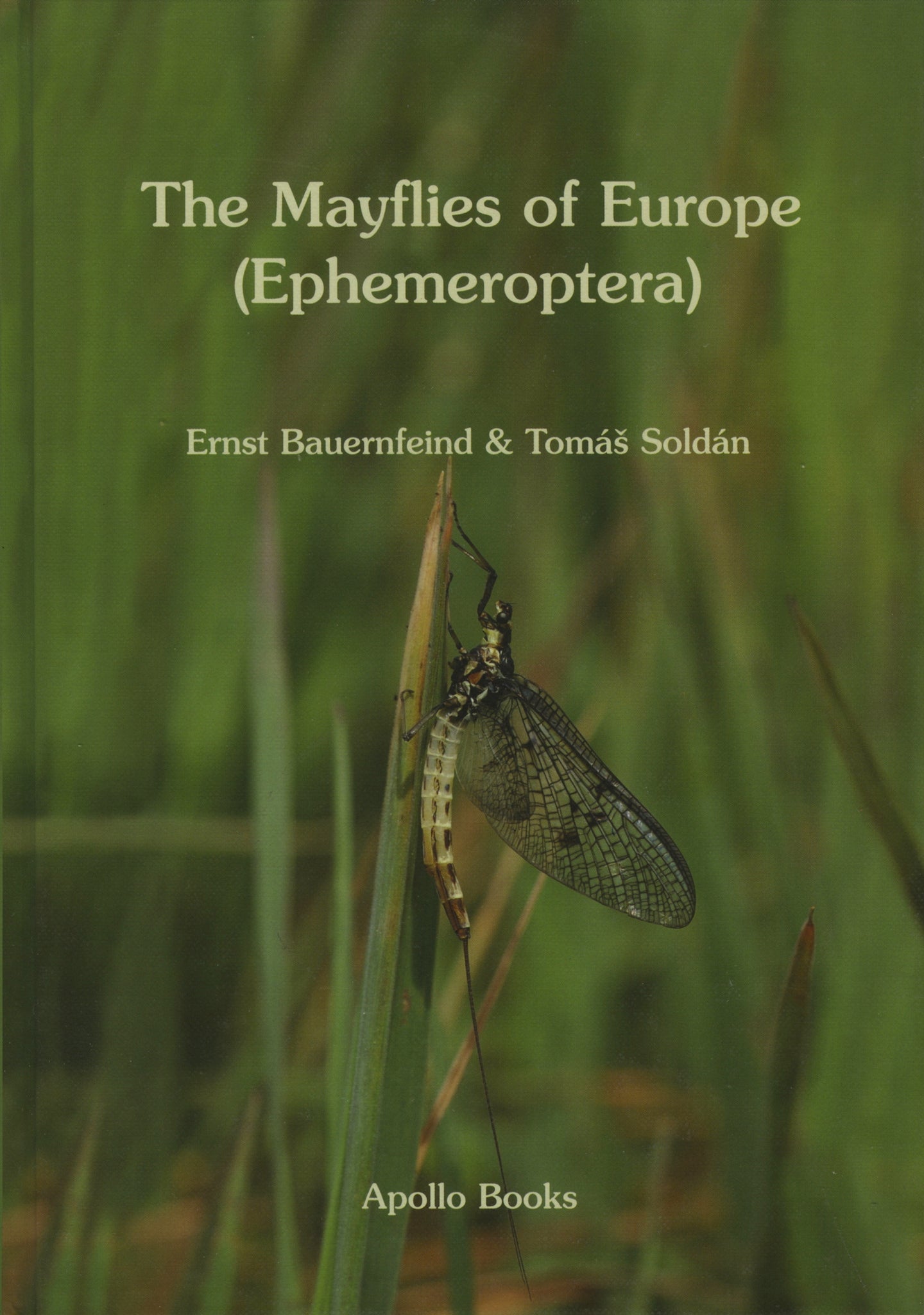 The Mayflies of Europe (Ephemeroptera)
