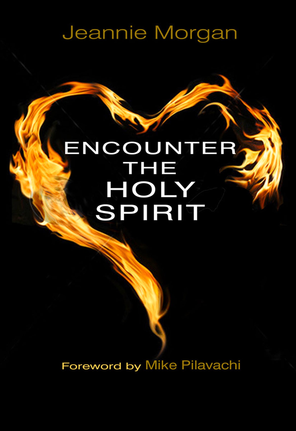 Cover image for Encounter the Holy Spirit ISBN 9780857211965