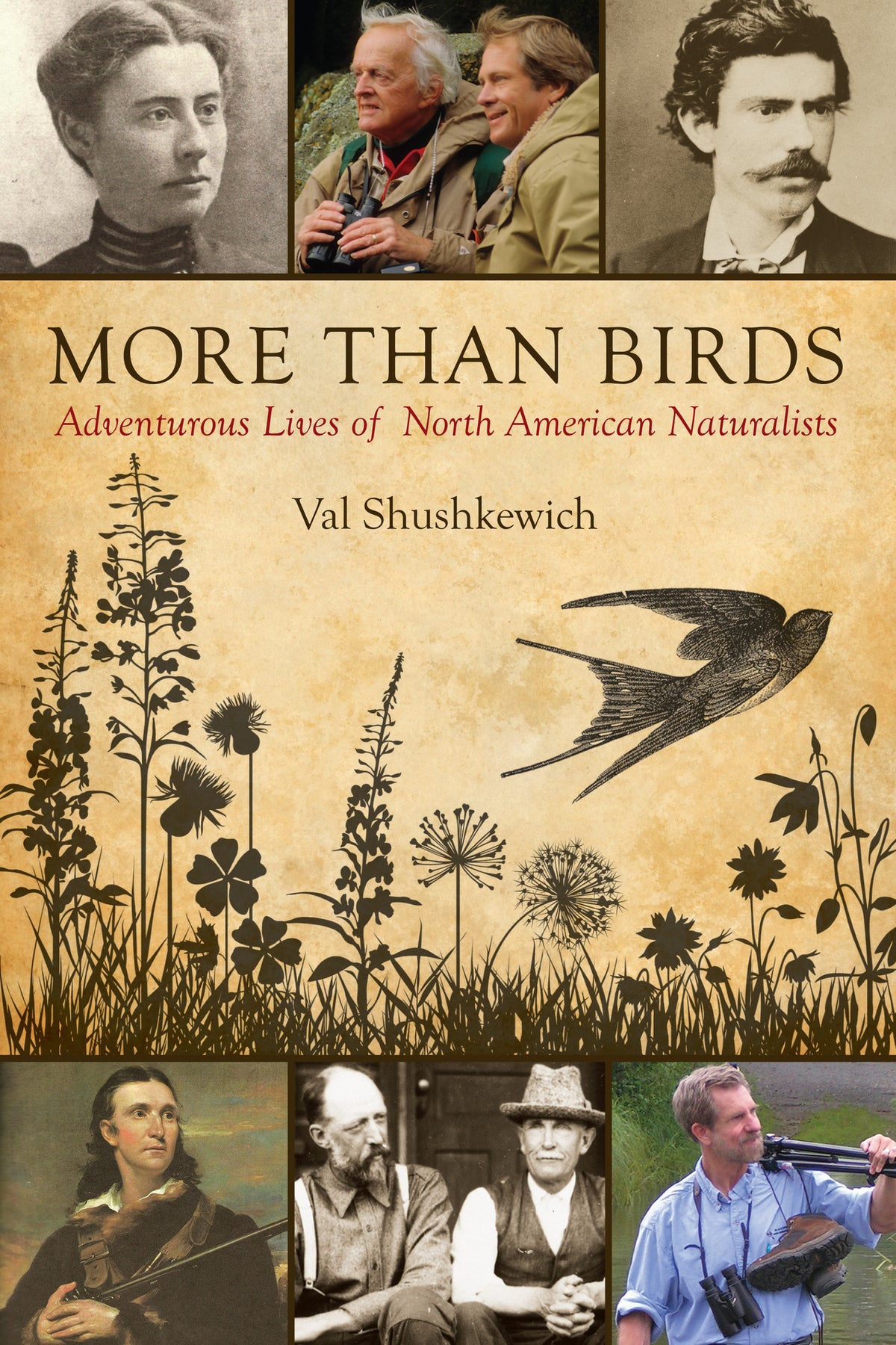 Cover image for More Than Birds ISBN 9781459705586