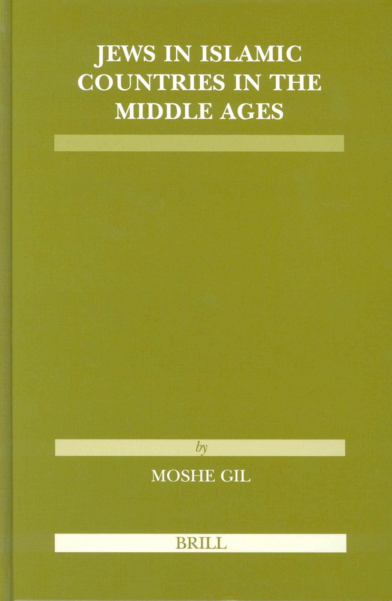 Cover image for Jews in Islamic Countries in the Middle Ages ISBN 9789004138827