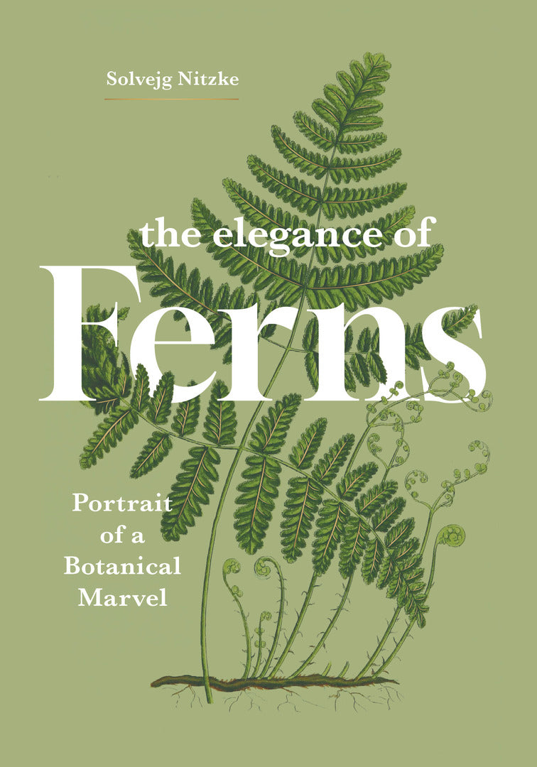 Cover image for The Elegance of Ferns ISBN 9781778403385