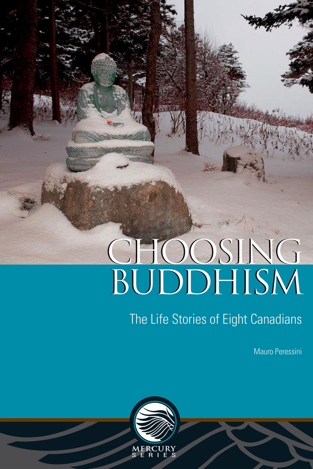 Cover image for Choosing Buddhism ISBN 9780776623313