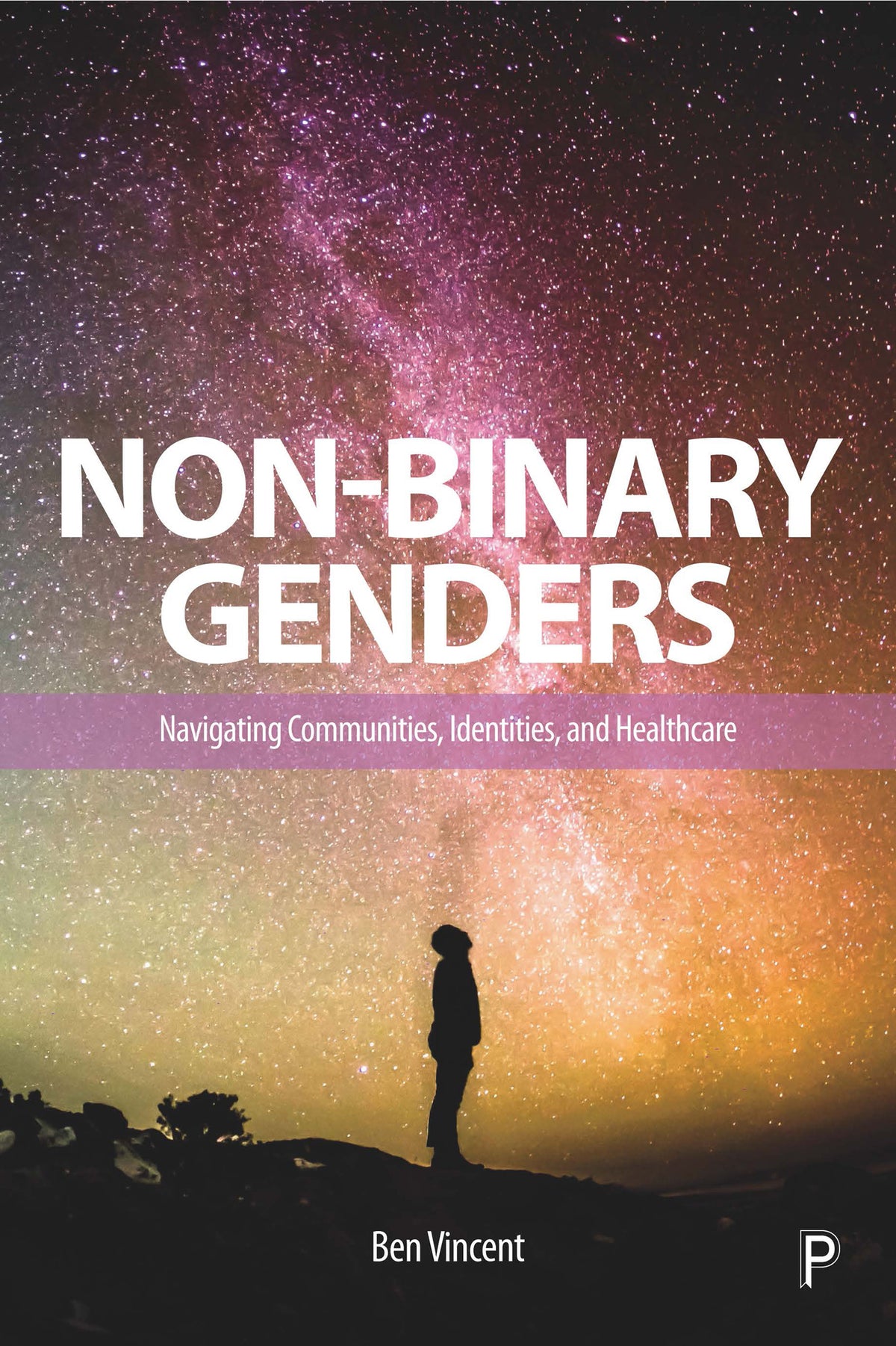 Cover image for Non-Binary Genders ISBN 9781447351917