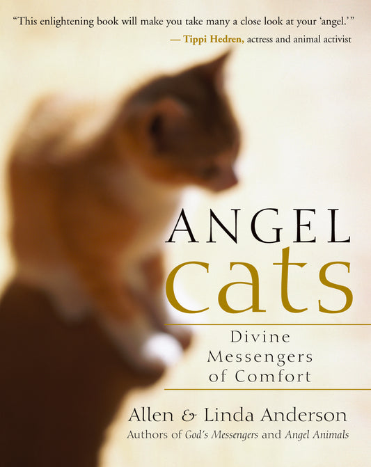 Angel Cats