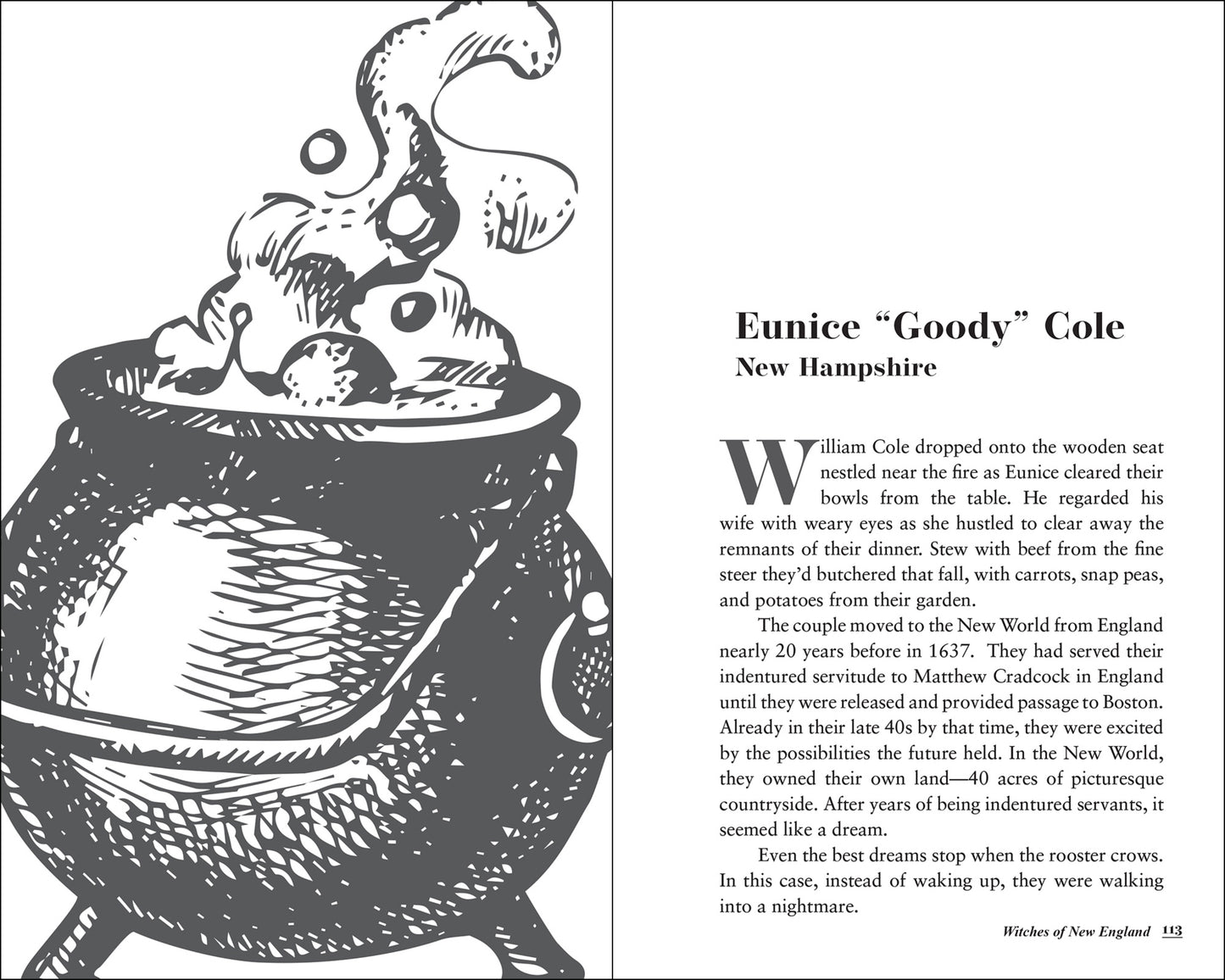 Cover image for Witches of New England ISBN 9781647556518