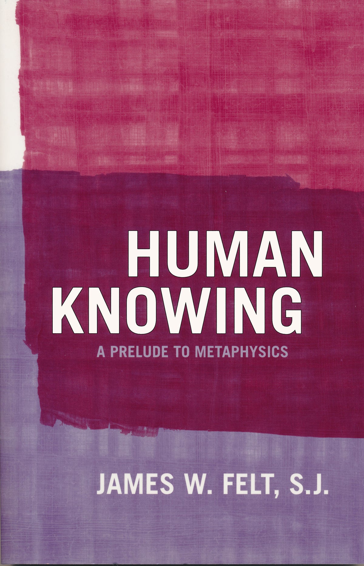 Cover image for Human Knowing ISBN 9780268028794