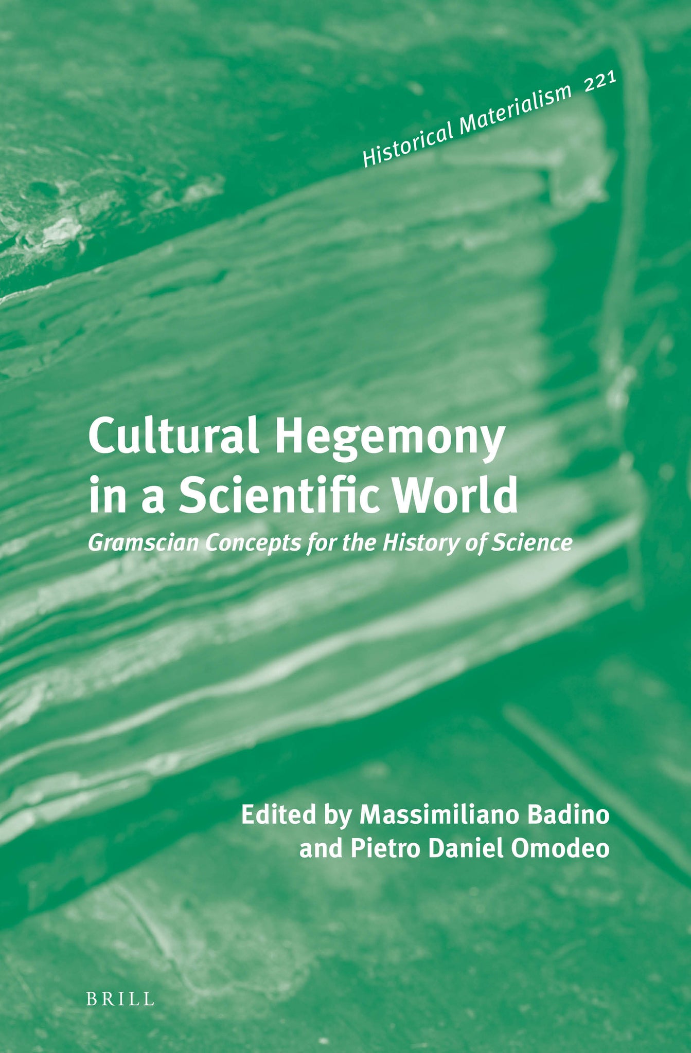 Cover image for Cultural Hegemony in a Scientific World ISBN 9789004314603