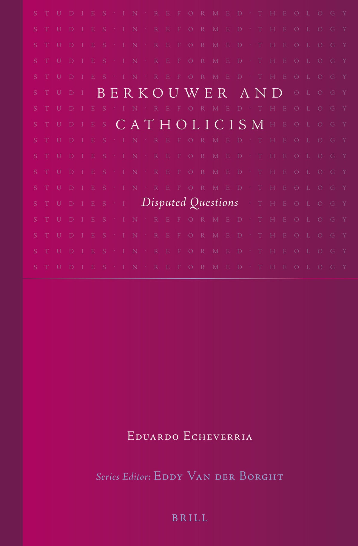 Cover image for Berkouwer and Catholicism ISBN 9789004245587
