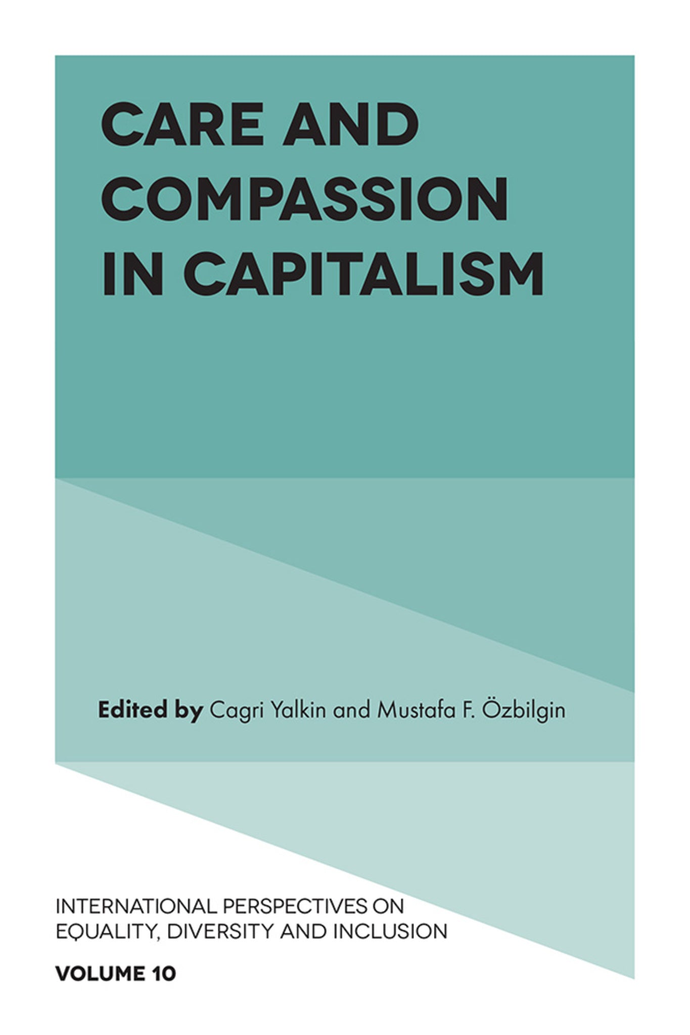 Cover image for Care and Compassion in Capitalism ISBN 9781835491492