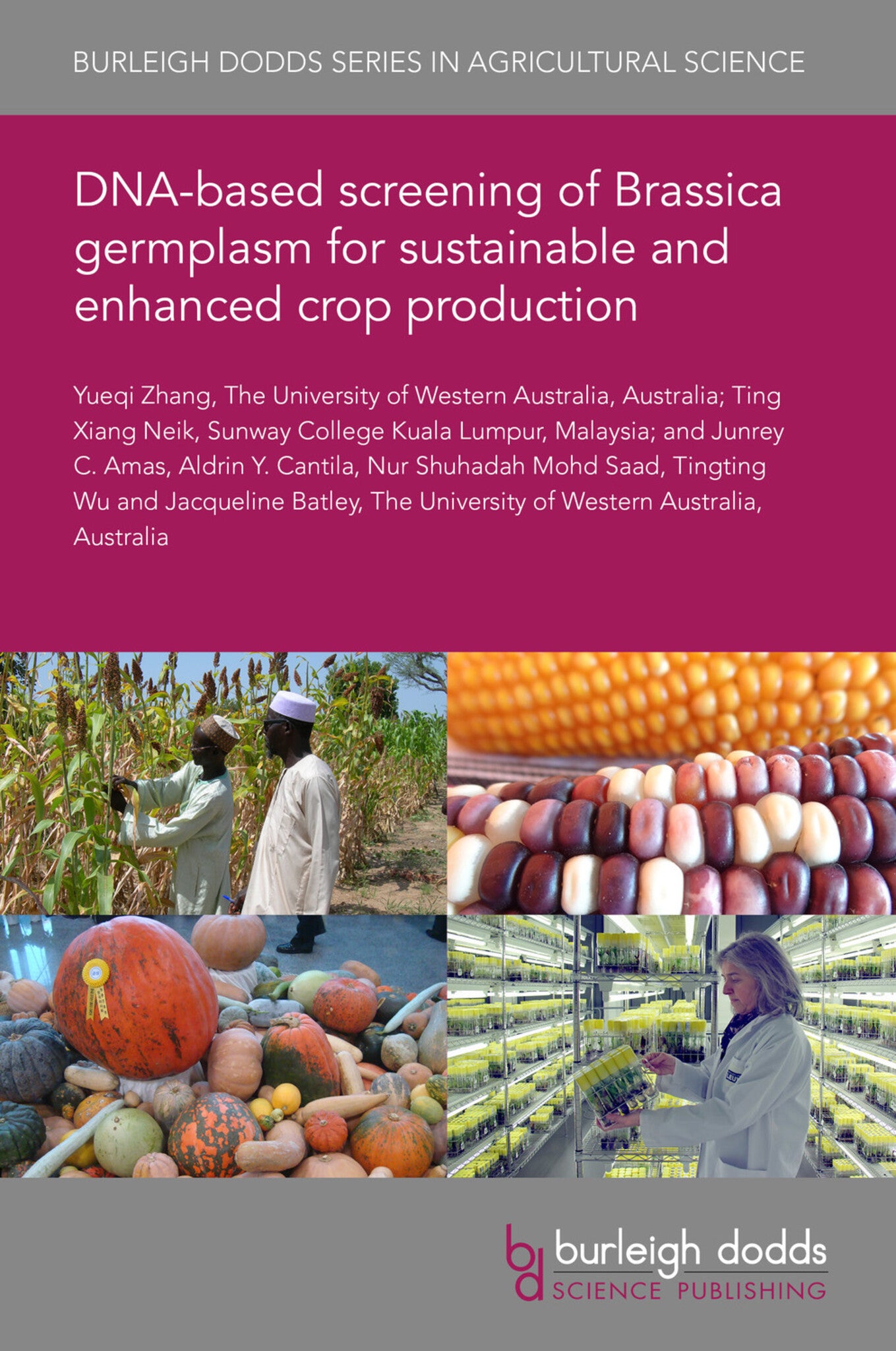 Cover image for DNA-based screening of Brassica germplasm for sustainable and enhanced crop production ISBN 9781801461276