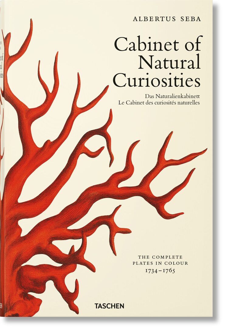 Cover image for Seba. Cabinet of Natural Curiosities ISBN 9783836569064
