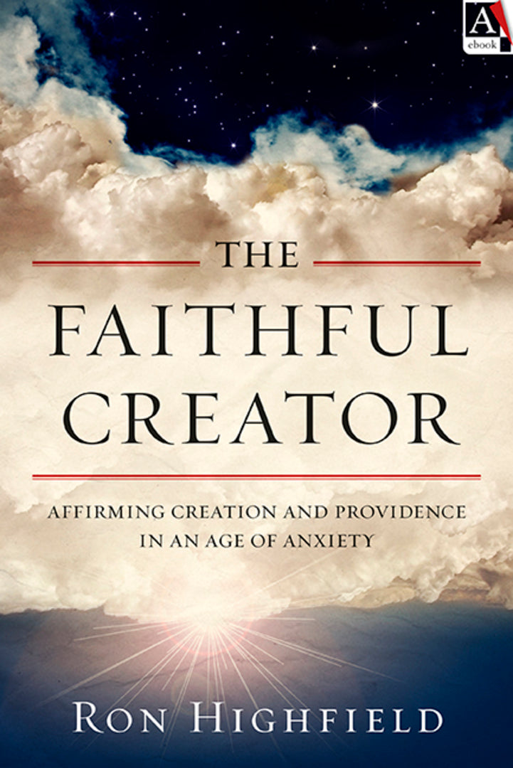 Cover image for The Faithful Creator ISBN 9781783594214