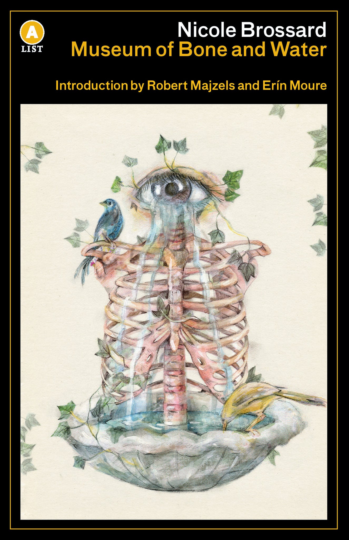 Cover image for Museum of Bone and Water ISBN 9781487008093