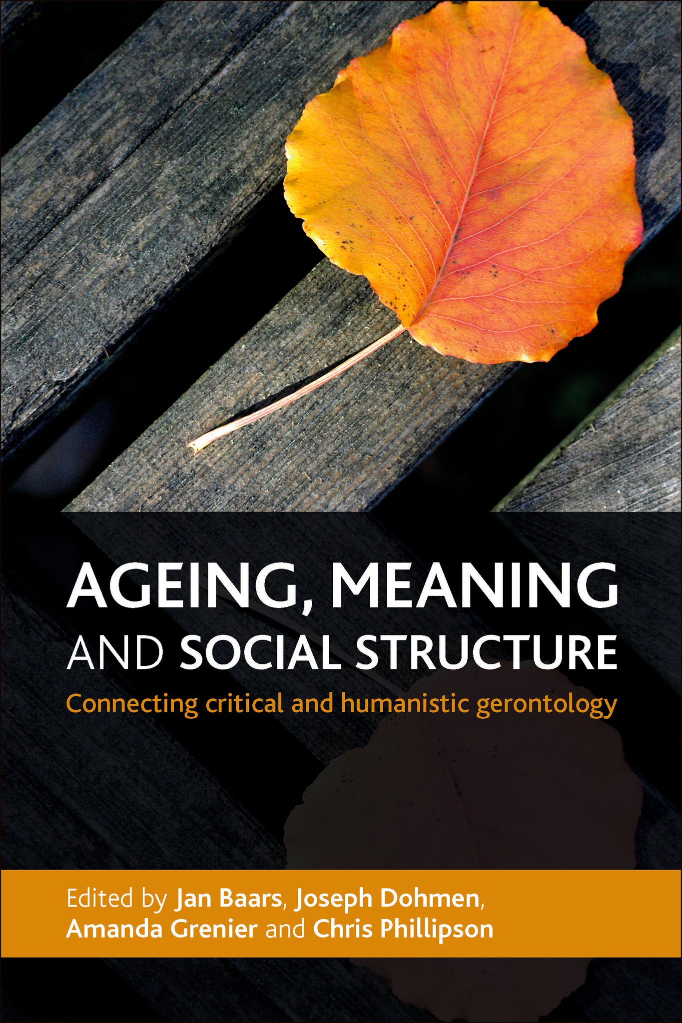 Cover image for Ageing, Meaning and Social Structure ISBN 9781447300908