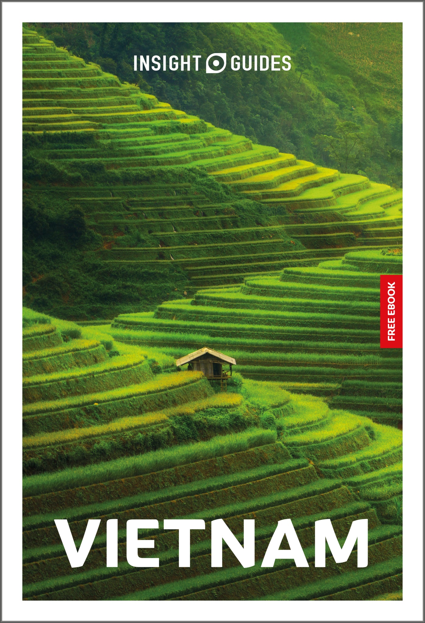 Cover image for Insight Guides Vietnam: Travel Guide with eBook ISBN 9781839054716