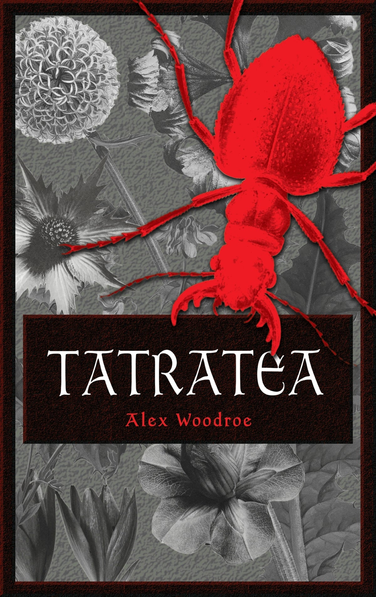 Cover image for Tatratea ISBN 9781968043360