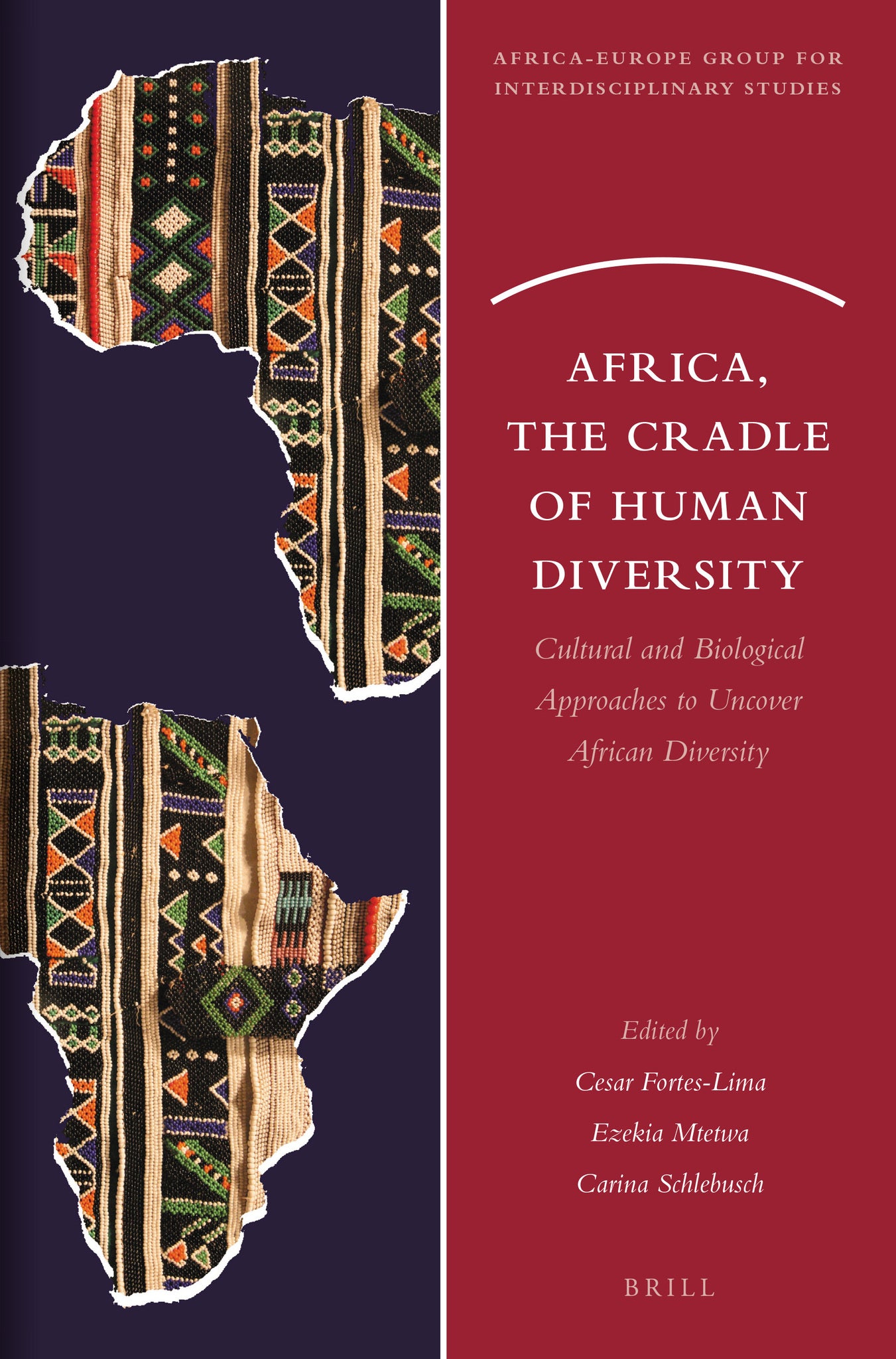 Cover image for Africa, the Cradle of Human Diversity ISBN 9789004500211