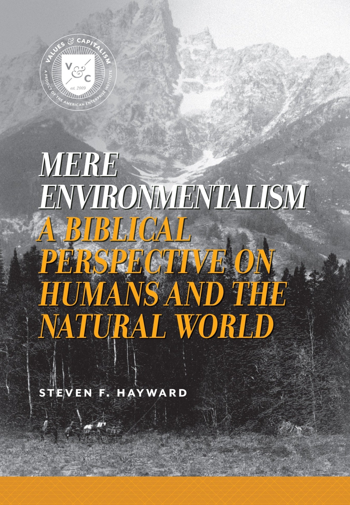 Cover image for Mere Environmentalism ISBN 9780844743745