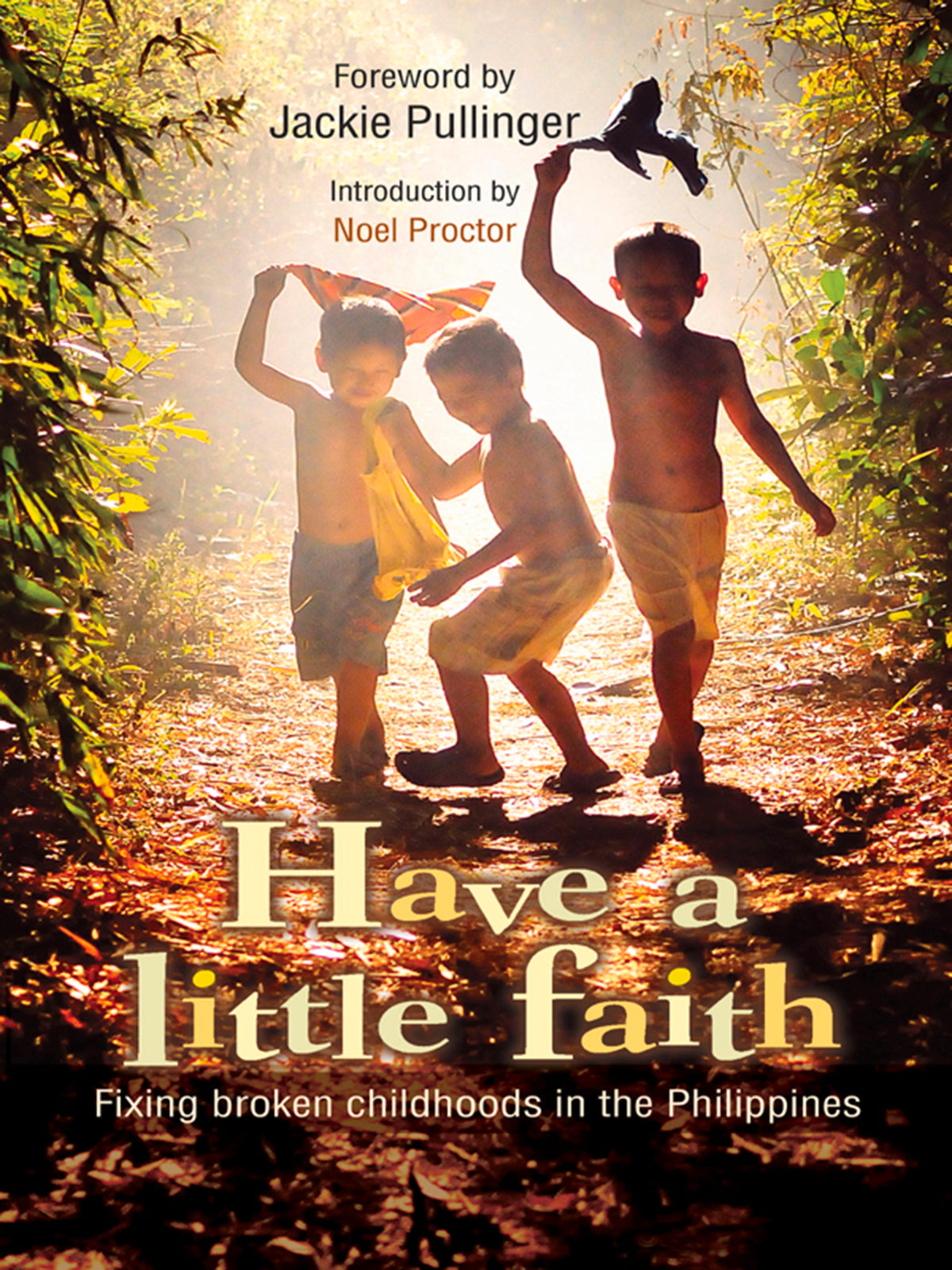 Cover image for Have a Little Faith ISBN 9780857215055