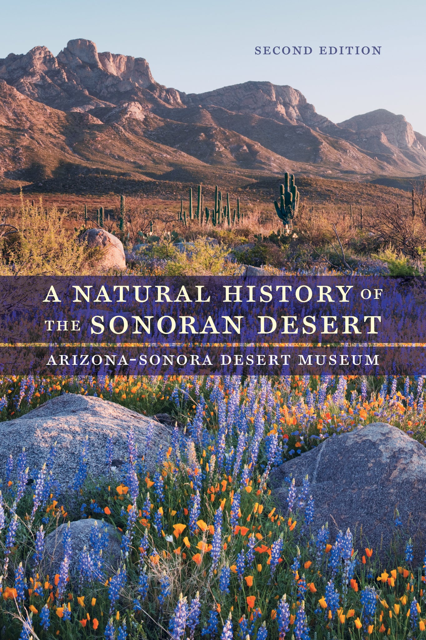 Cover image for A Natural History of the Sonoran Desert ISBN 9780520287471