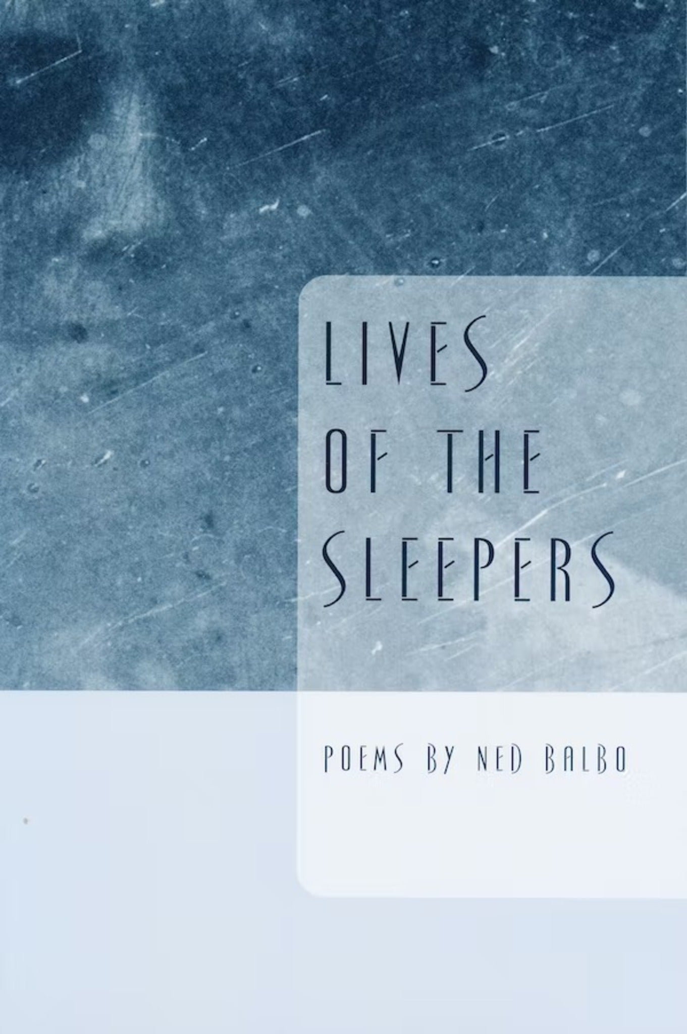Cover image for Lives of the Sleepers ISBN 9780268021856