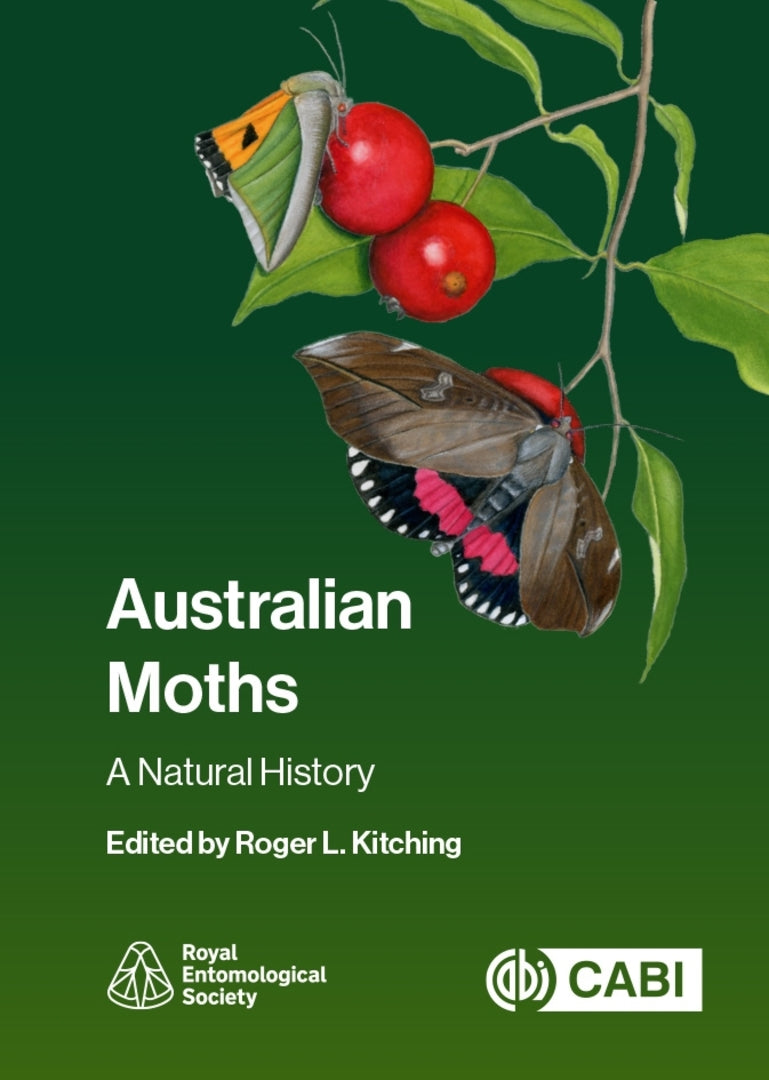 Cover image for Australian Moths ISBN 9781800627666