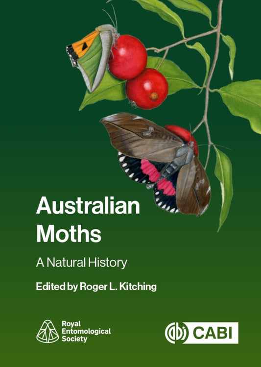 Australian Moths