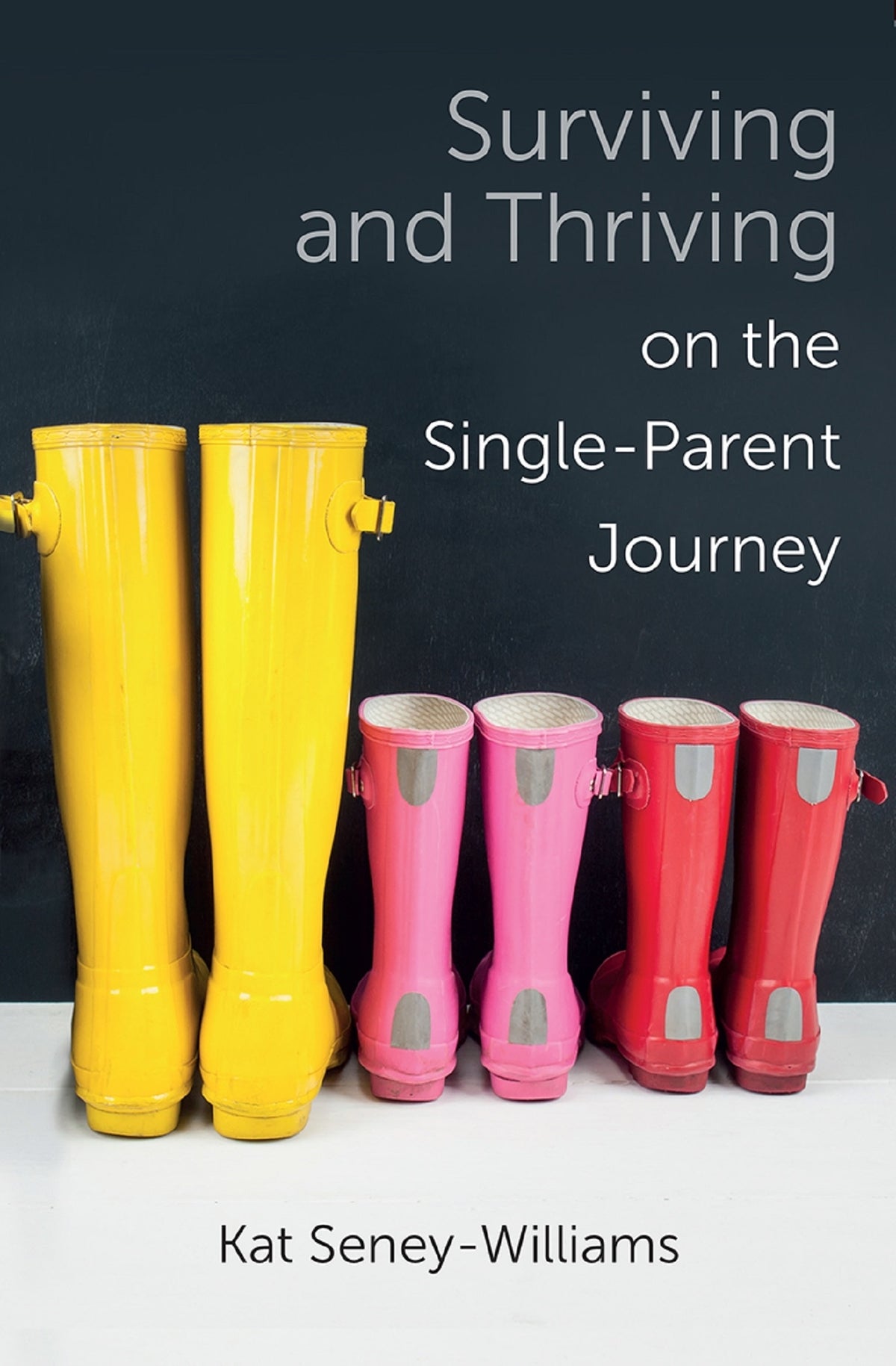 Cover image for Surviving and Thriving on the Single-Parent Journey ISBN 9780745980584