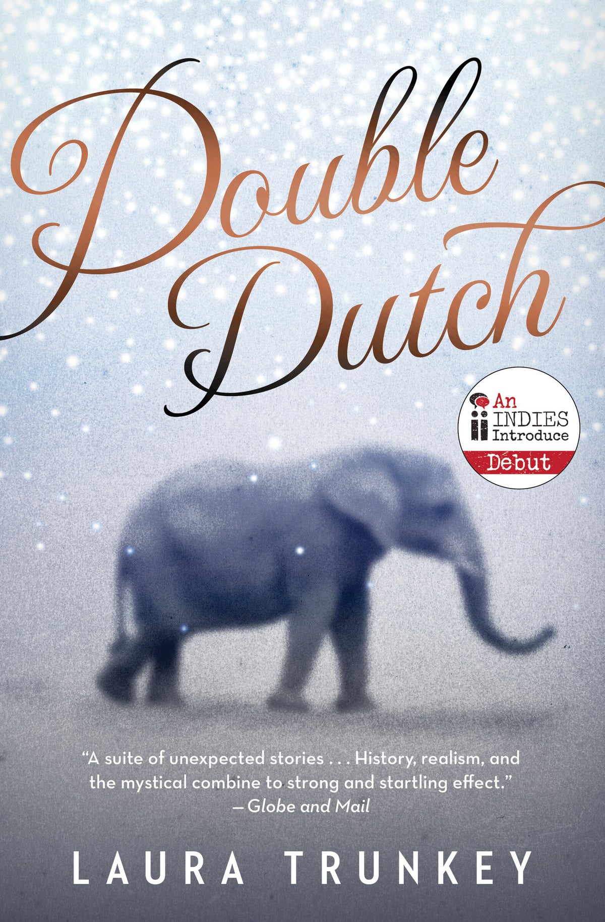 Cover image for Double Dutch ISBN 9781770898776