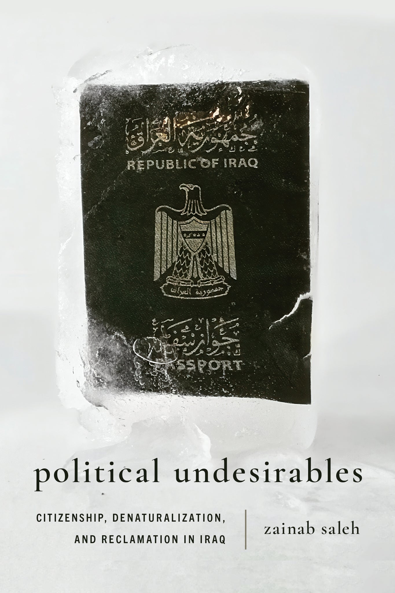 Cover image for Political Undesirables ISBN 9781503643833