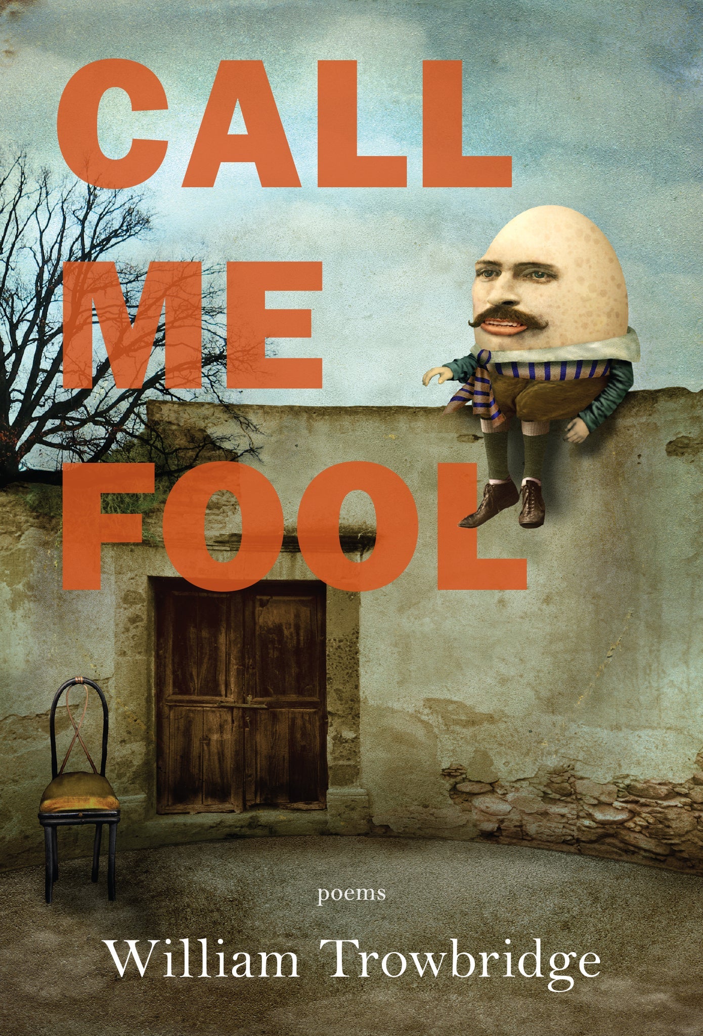 Cover image for Call Me Fool ISBN 9781636280813
