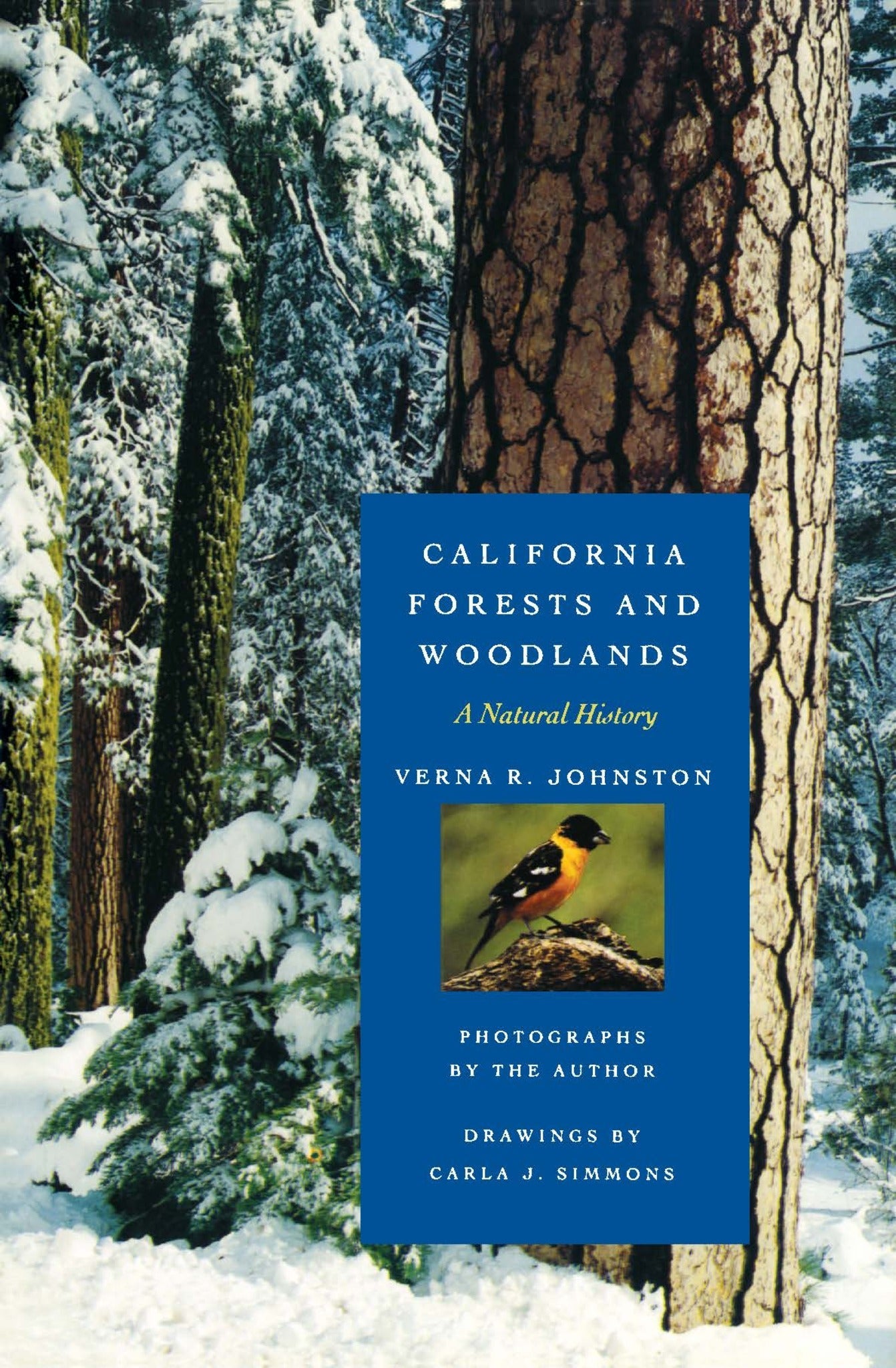 Cover image for California Forests and Woodlands ISBN 9780520916920