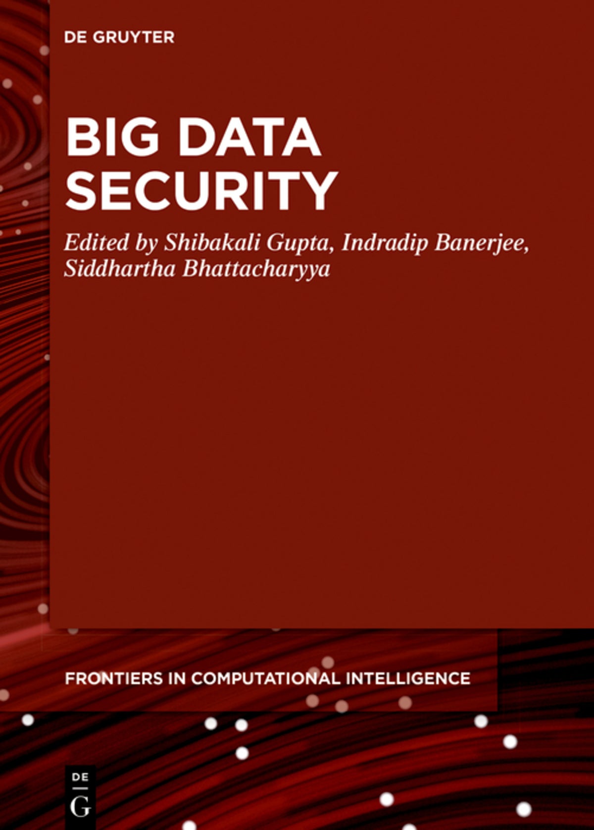Big Data Security