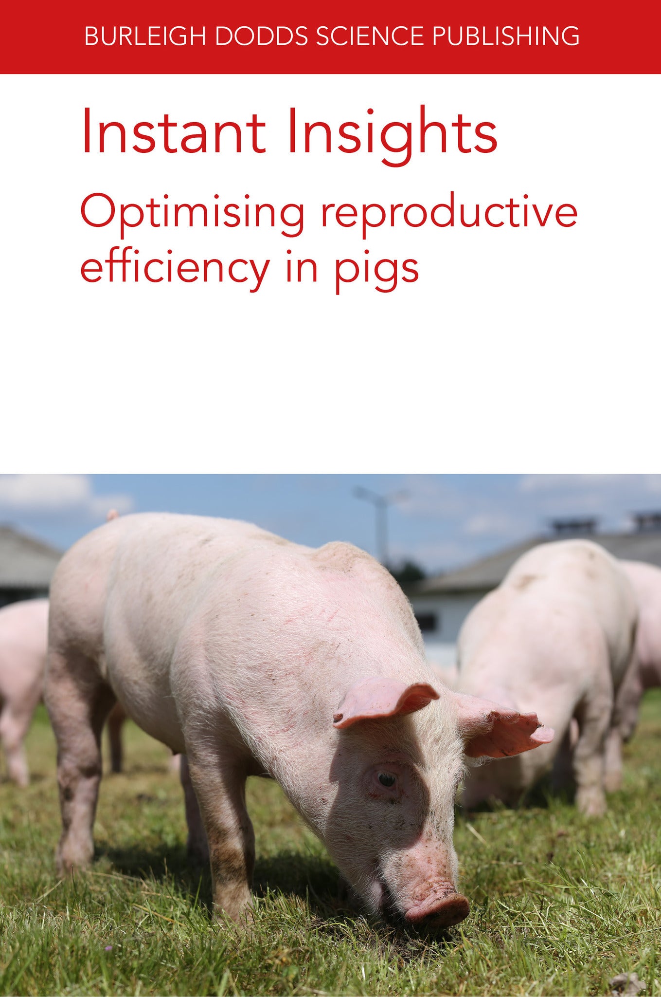 Cover image for Instant Insights: Optimising reproductive efficiency in pigs ISBN 9781801466783