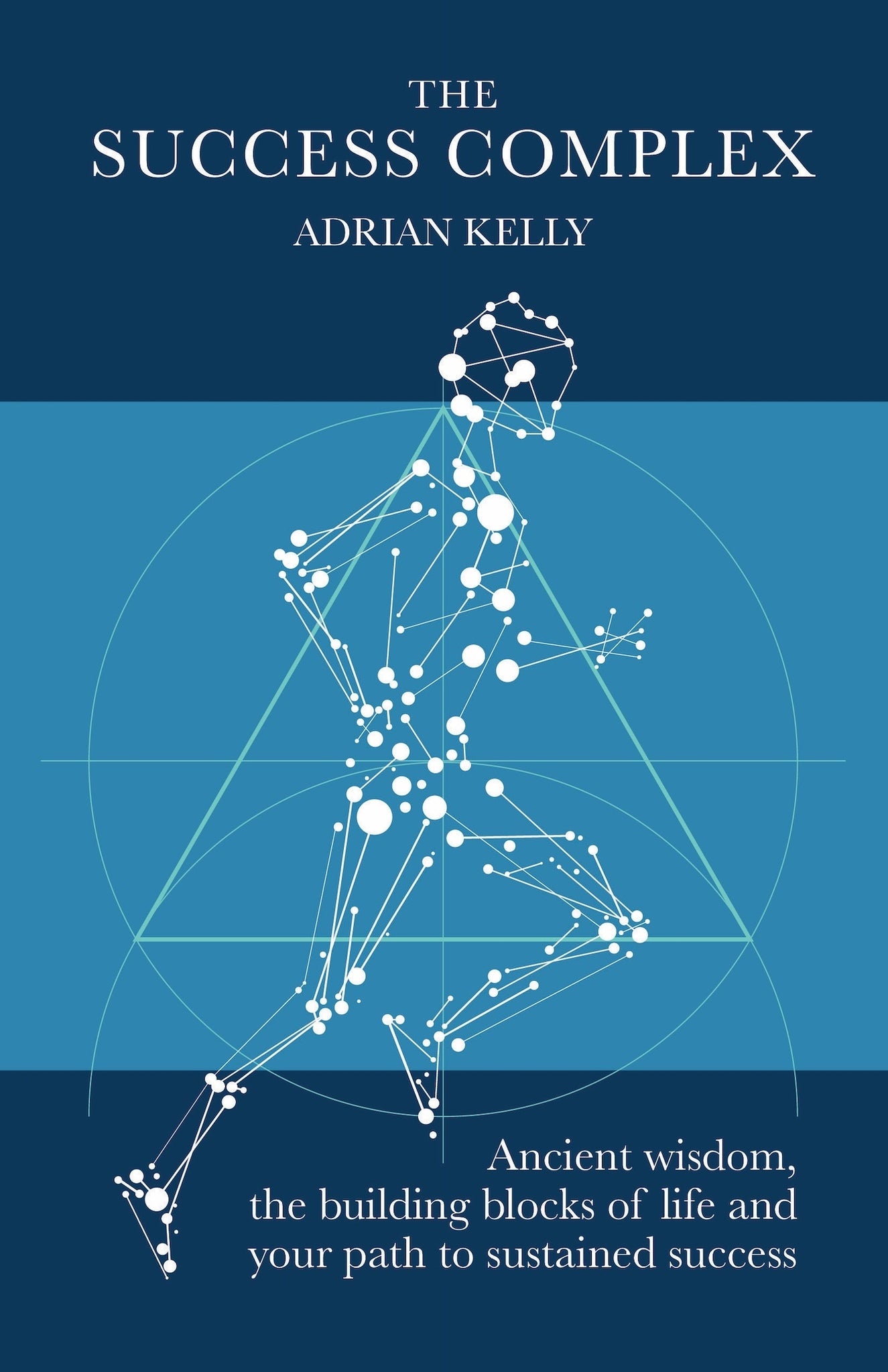 Cover image for The Success Complex ISBN 9781788603812