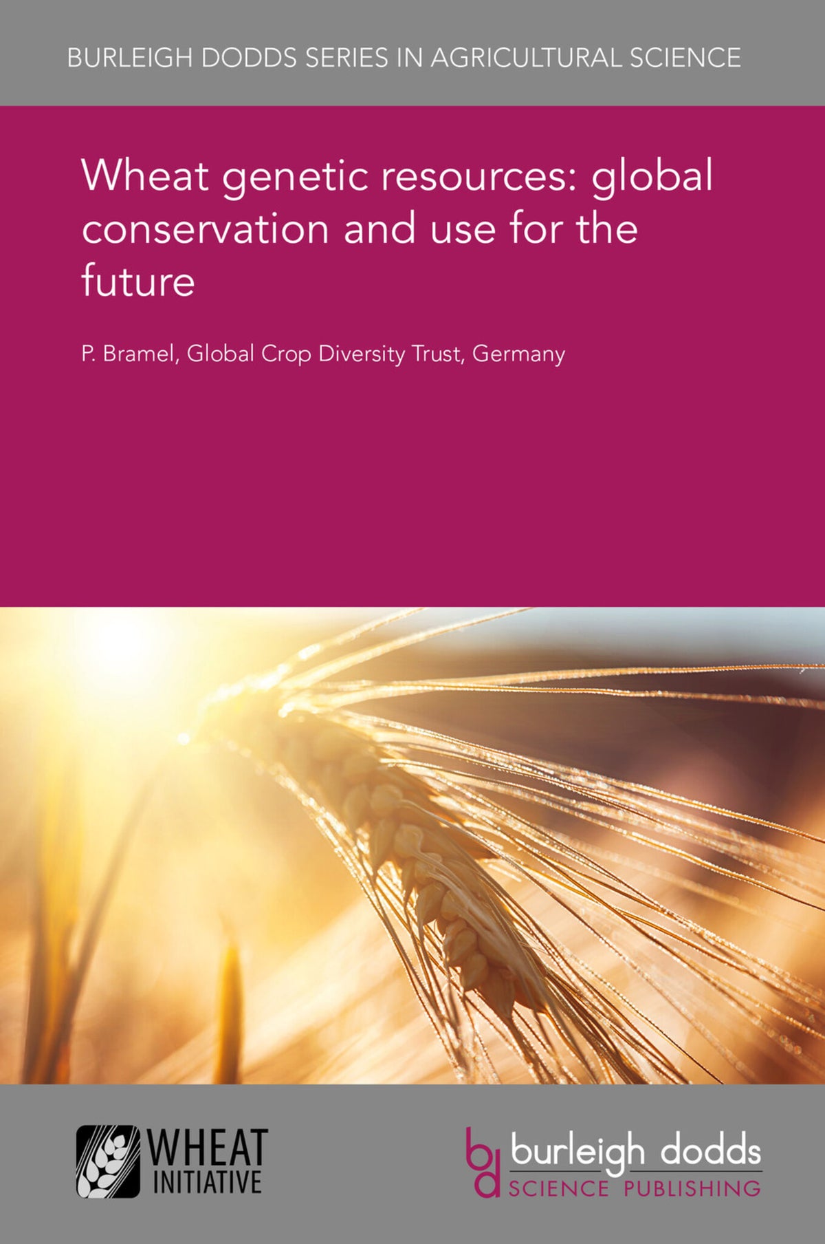 Wheat genetic resources: global conservation and use for the future