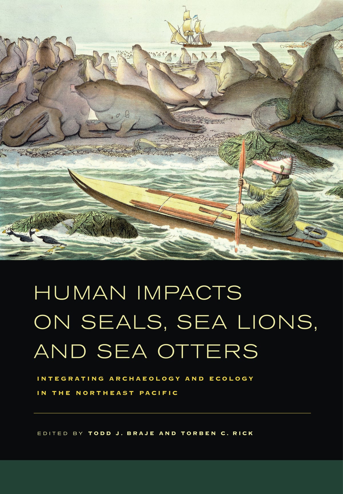 Cover image for Human Impacts on Seals, Sea Lions, and Sea Otters ISBN 9780520948976