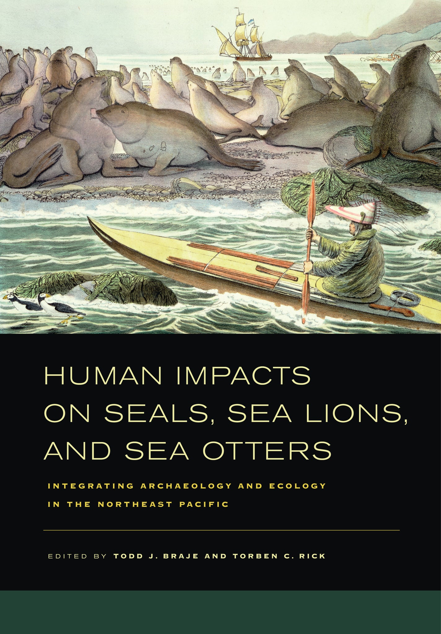 Cover image for Human Impacts on Seals, Sea Lions, and Sea Otters ISBN 9780520948976