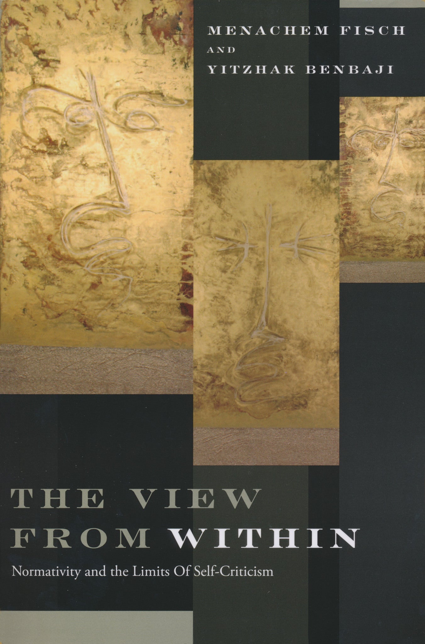 Cover image for The View from Within ISBN 9780268079710