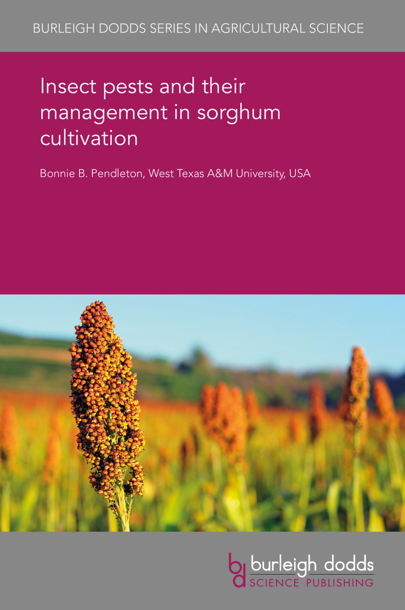 Cover image for Insect pests and their management in sorghum cultivation ISBN 9781838795429