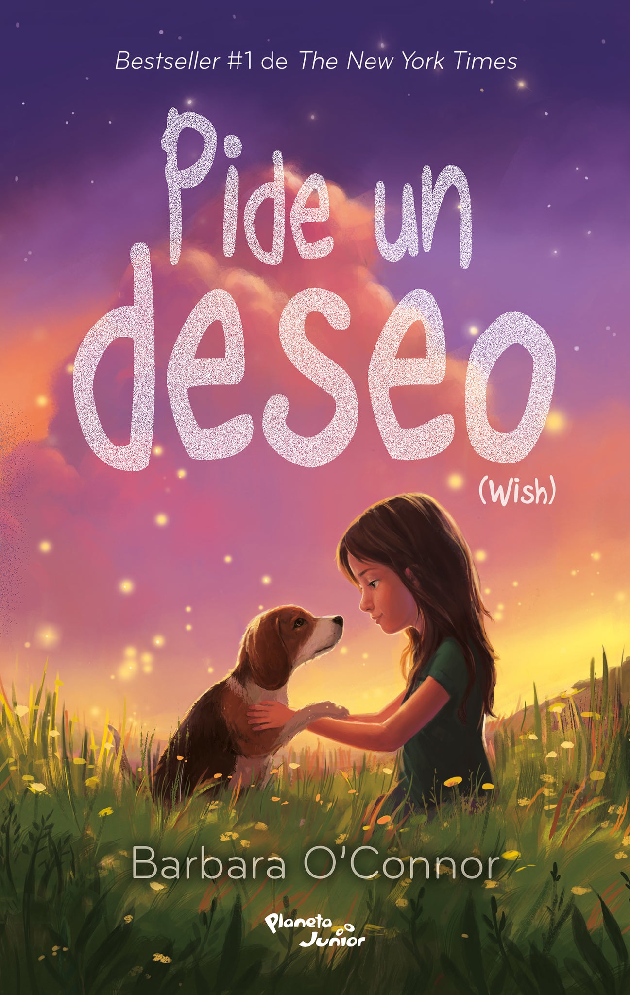 Pide un deseo / Wish