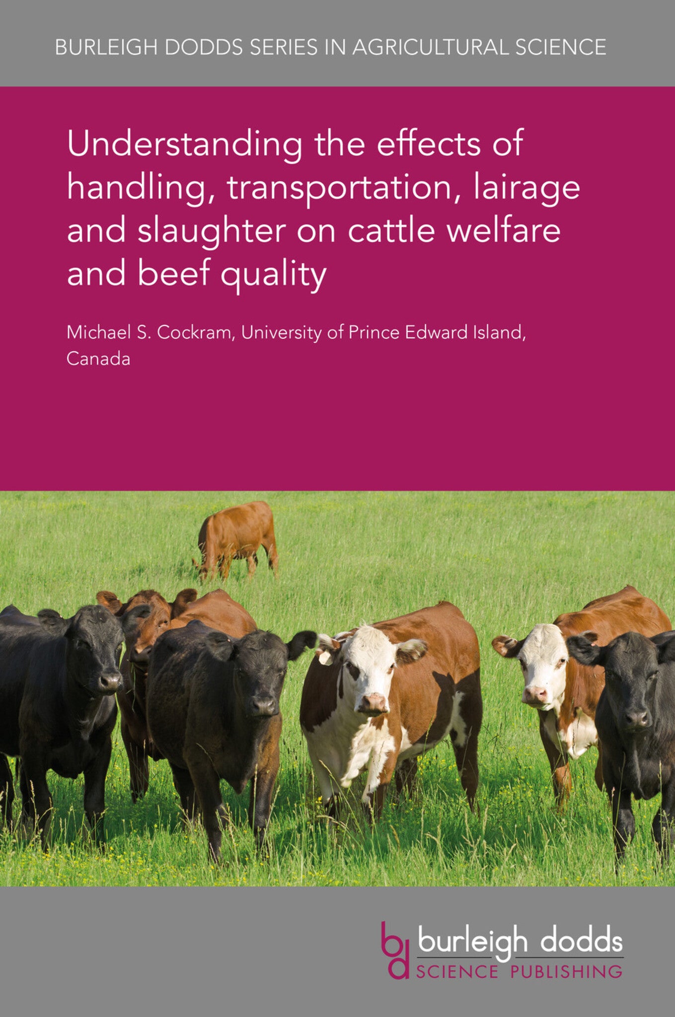 Cover image for Understanding the effects of handling, transportation, lairage and slaughter on cattle welfare and beef quality ISBN 9781838790370