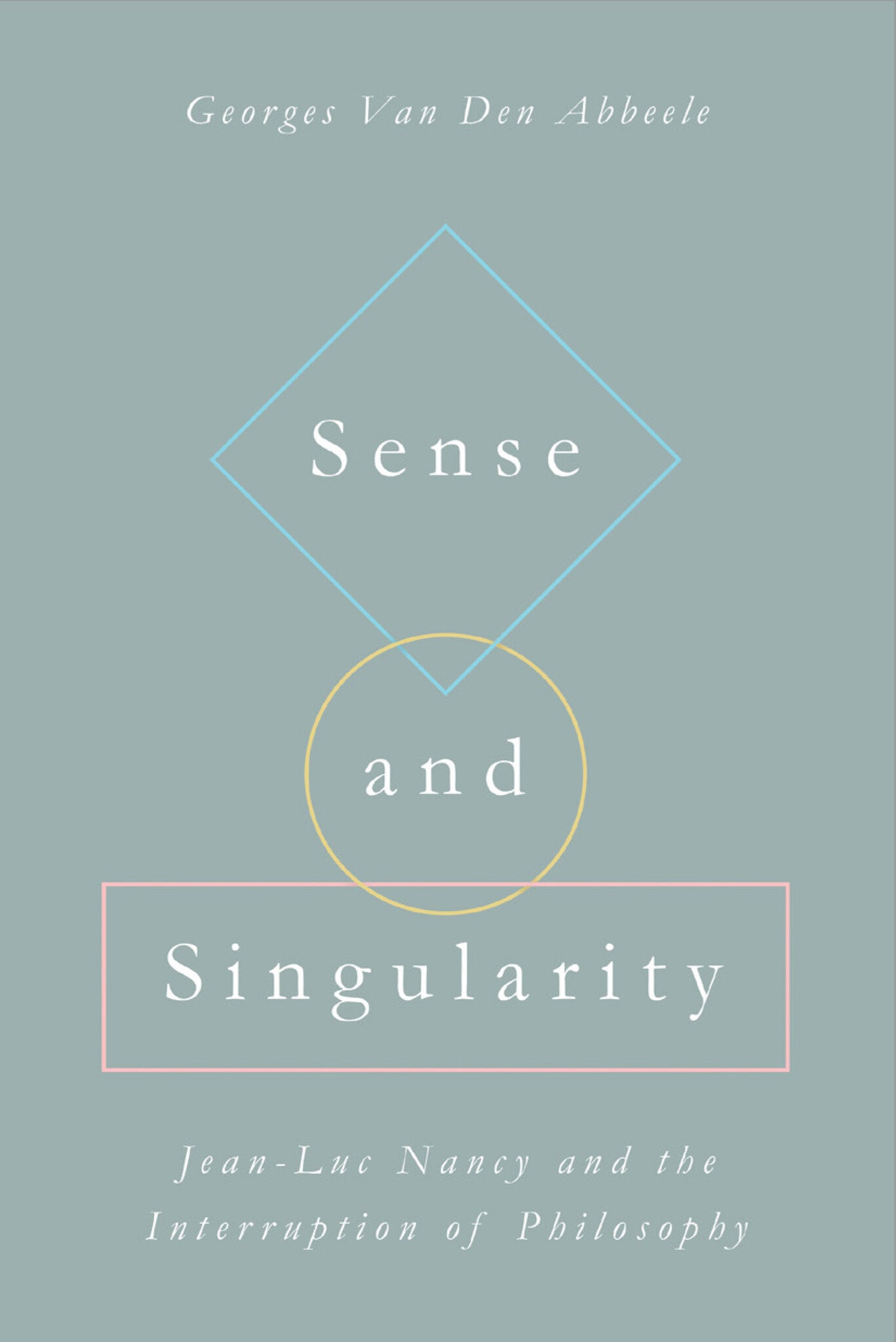 Sense and Singularity
