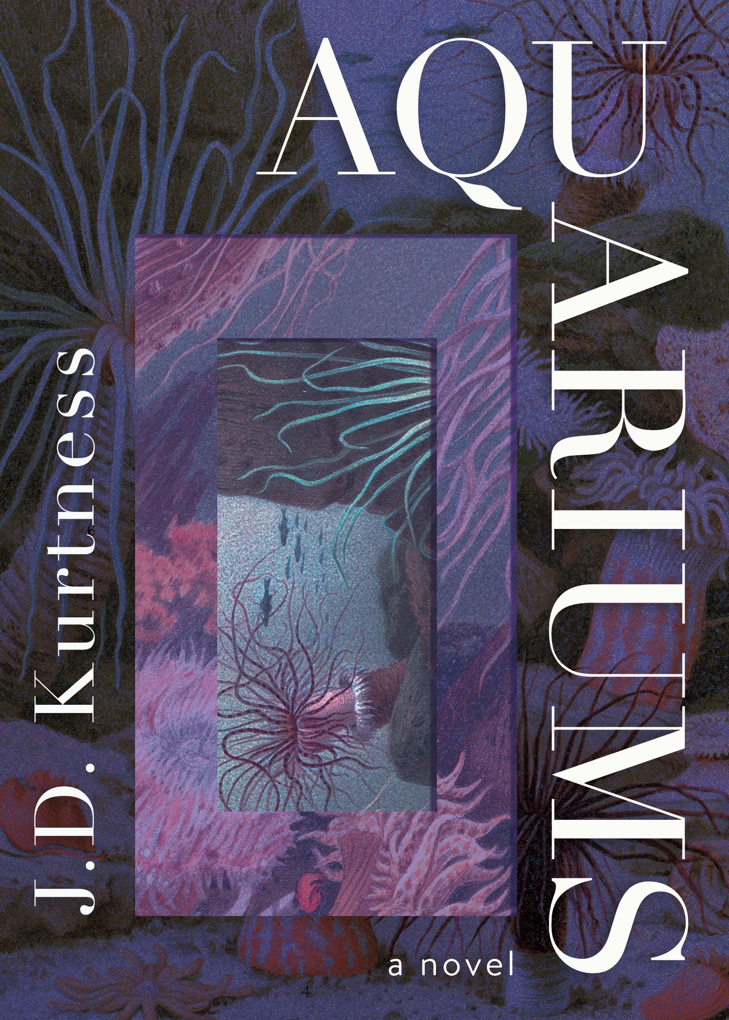 Cover image for Aquariums ISBN 9781459747760