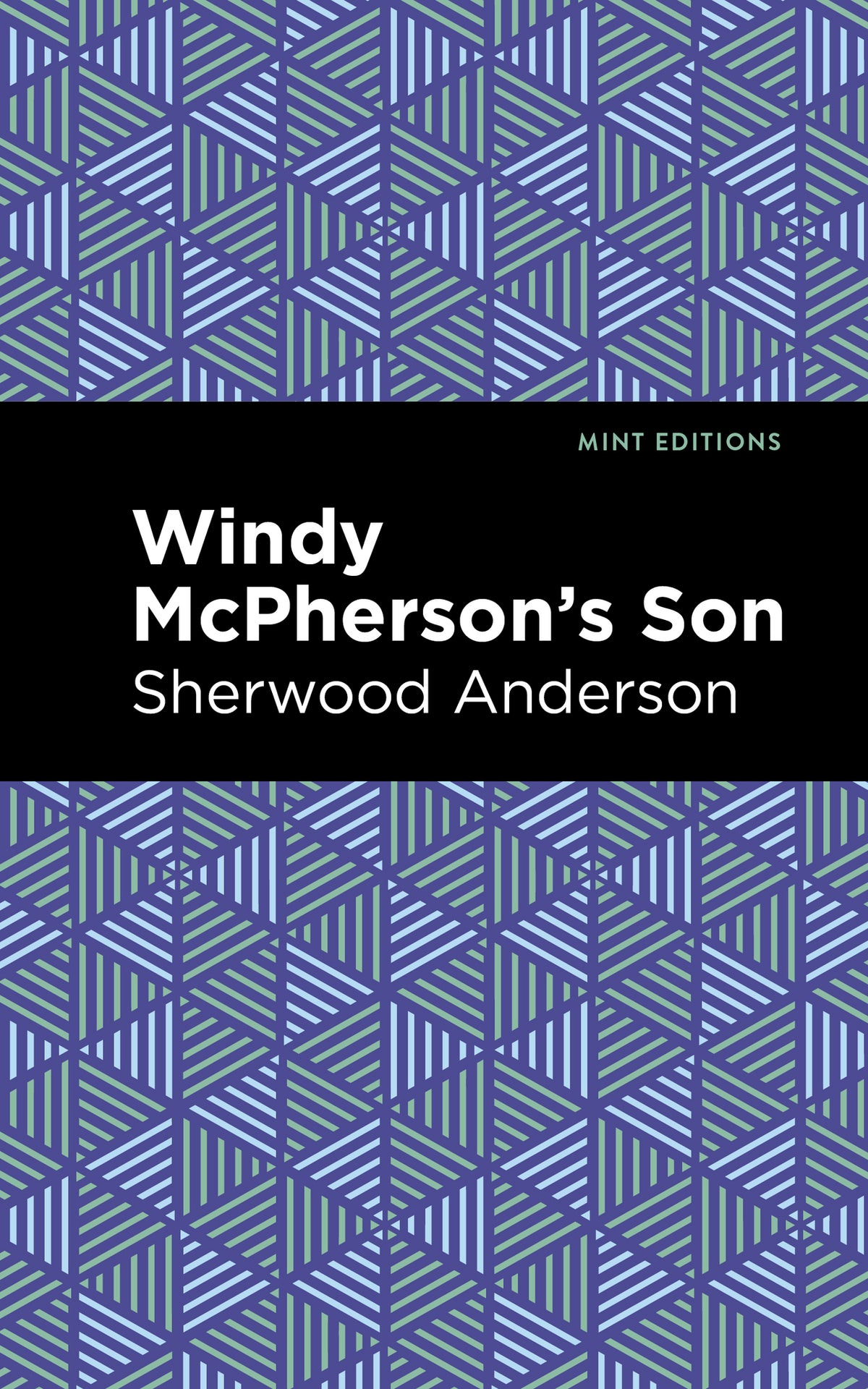 Cover image for Windy McPherson's Son ISBN 9781513283494