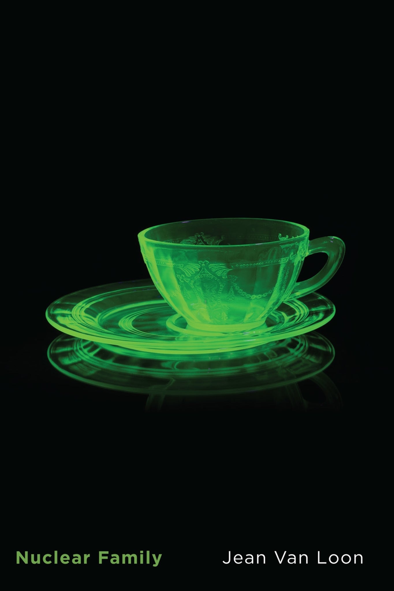 Cover image for Nuclear Family ISBN 9780228011156