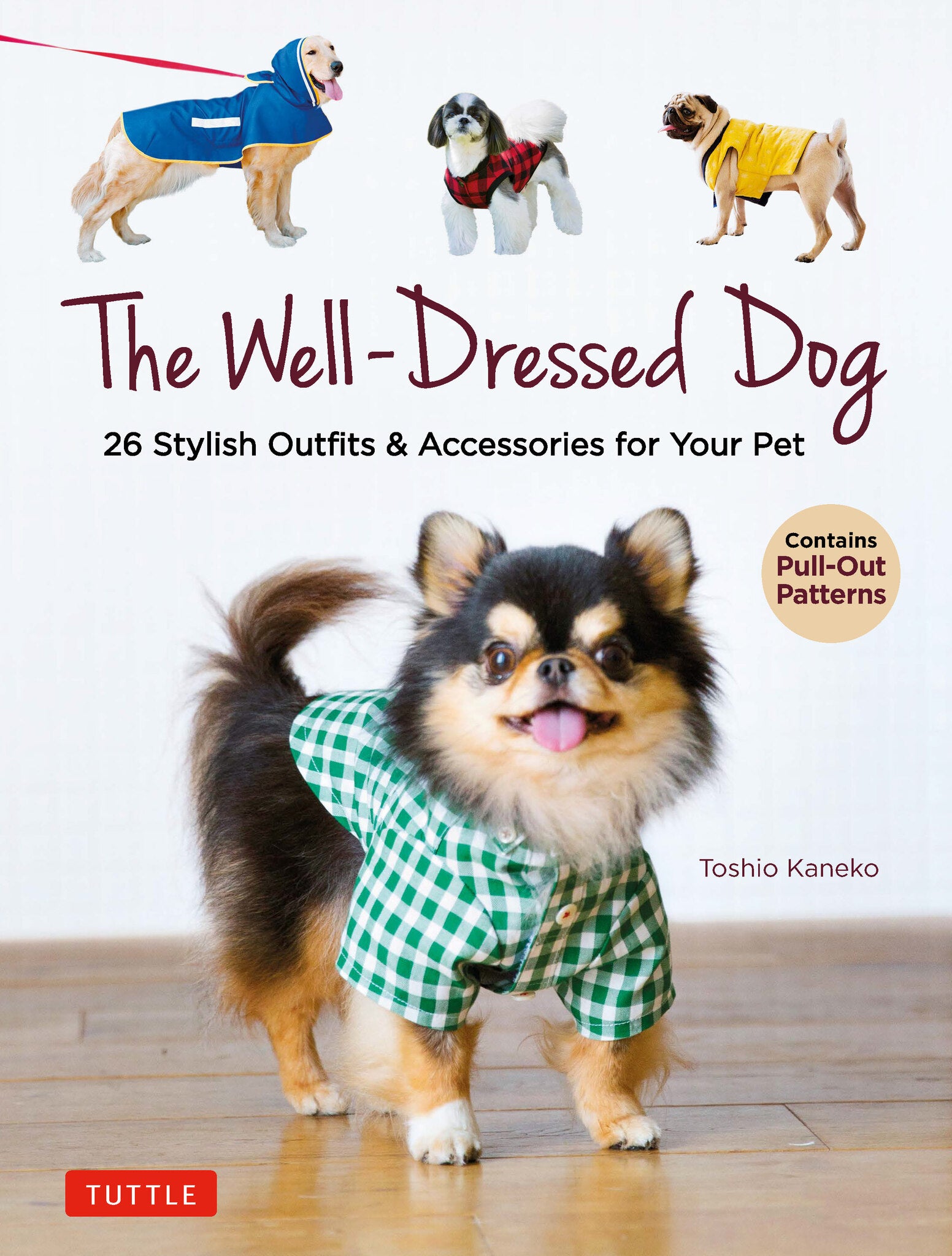 Well-Dressed Dog