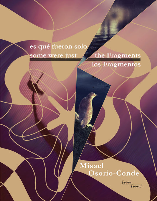 some were just the Fragments // es que fueron solo los Fragmentos